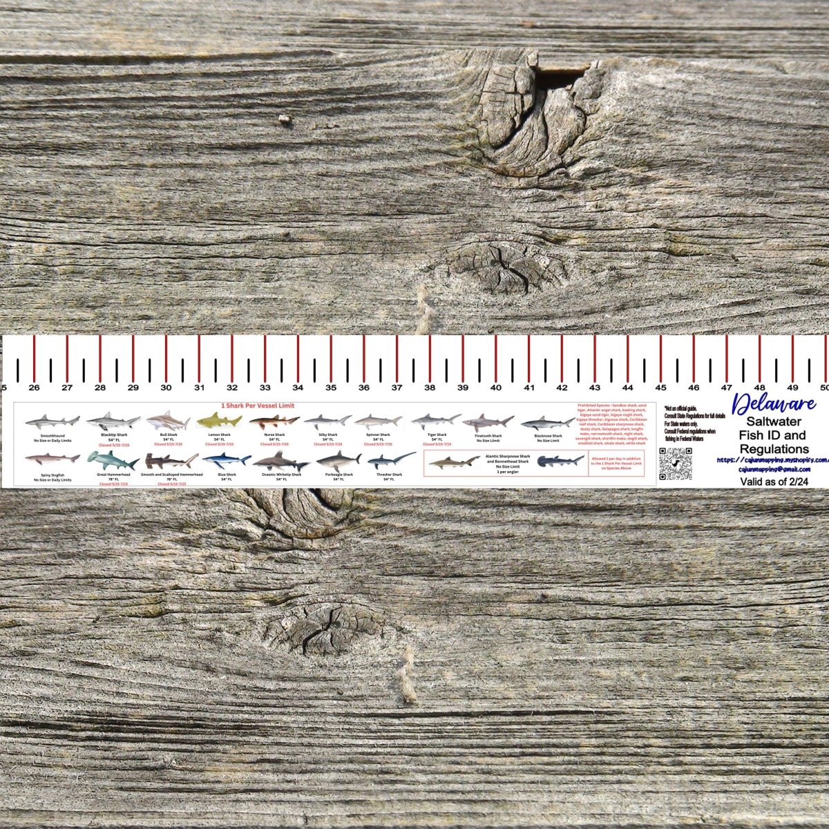 DELAWARE SALT WATER RULER 50 INCH FISH ID AND STATE REGULATIONS FISH RULER DECAL - Get Tight Gear
