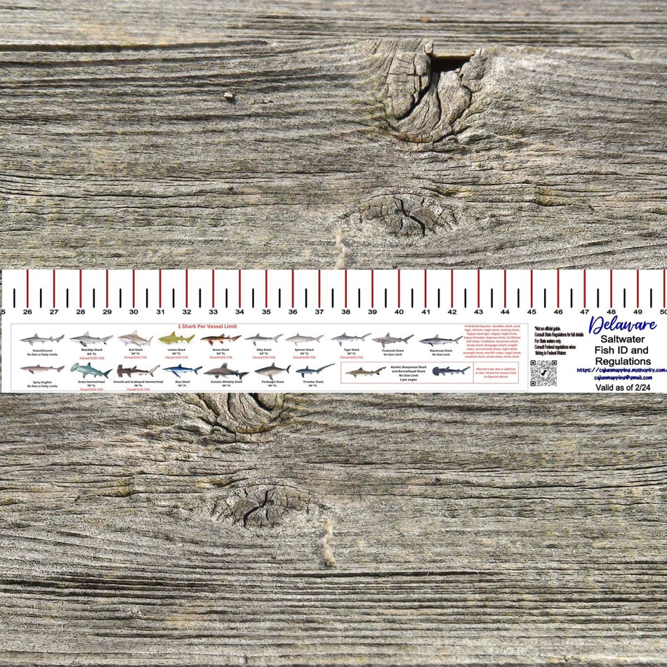 DELAWARE SALT WATER RULER 50 INCH FISH ID AND STATE REGULATIONS FISH RULER DECAL - Get Tight Gear