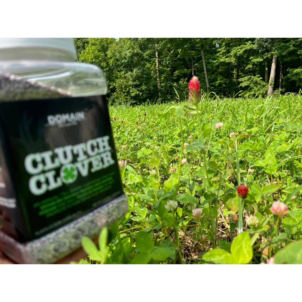 Domain Clutch Clover Seed 1/4 Acre - Get Tight Gear