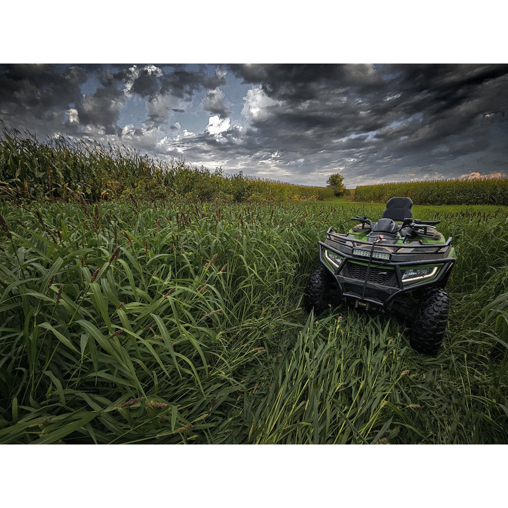 Domain Landing Strip Seed 1/4 Acre - Get Tight Gear