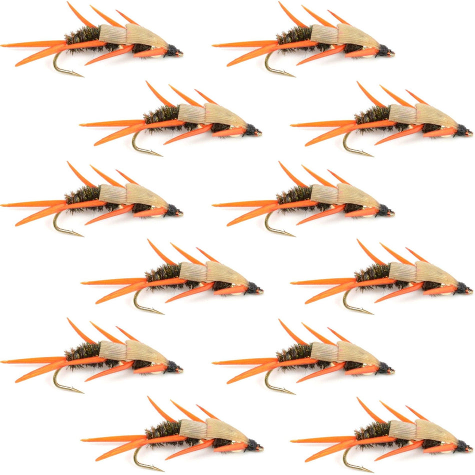 Double Bead Peacock Stonefly Nymph with Amber Biot Legs Fly Fishing Flies - 1 Dozen Flies Hook Size 12 - Get Tight Gear
