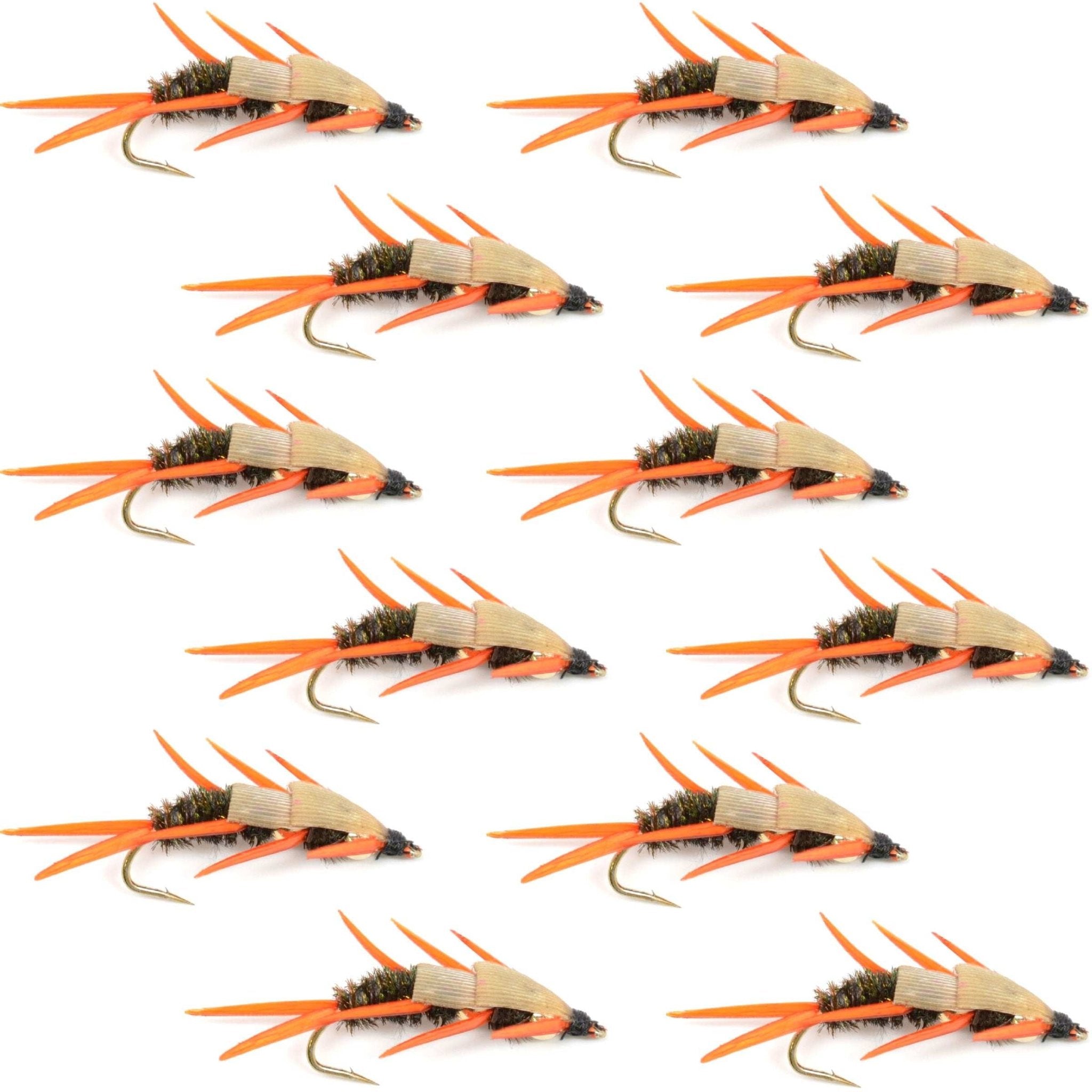 Double Bead Peacock Stonefly Nymph with Amber Biot Legs Fly Fishing Flies - 1 Dozen Flies Hook Size 14 - Get Tight Gear