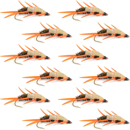 Double Bead Peacock Stonefly Nymph with Amber Biot Legs Fly Fishing Flies - 1 Dozen Flies Hook Size 14 - Get Tight Gear