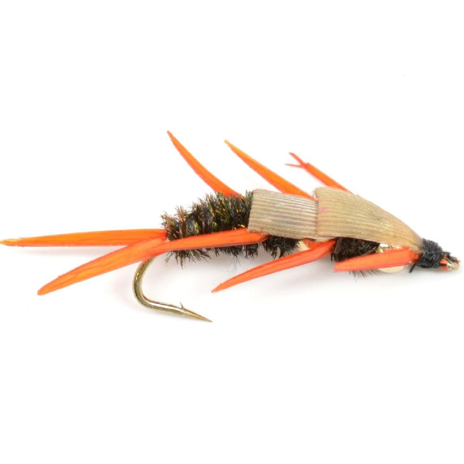 Double Bead Peacock Stonefly Nymph with Amber Biot Legs Fly Fishing Flies - 6 Flies Hook Size 8 - Get Tight Gear
