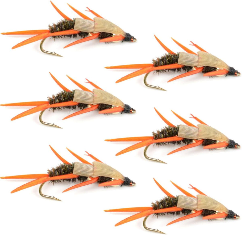 Double Bead Peacock Stonefly Nymph with Amber Biot Legs Fly Fishing Flies - Trout and Bass Wet Fly Pattern - 6 Flies Hook Size 14 - Get Tight Gear