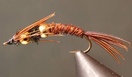 Double Bead - Pheasant Tail / Prince / Gold Rib Hare's Ear - Get Tight Gear