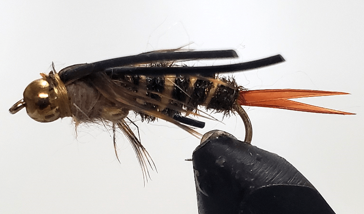 Double Bead - Stonefly Nymphs - Get Tight Gear
