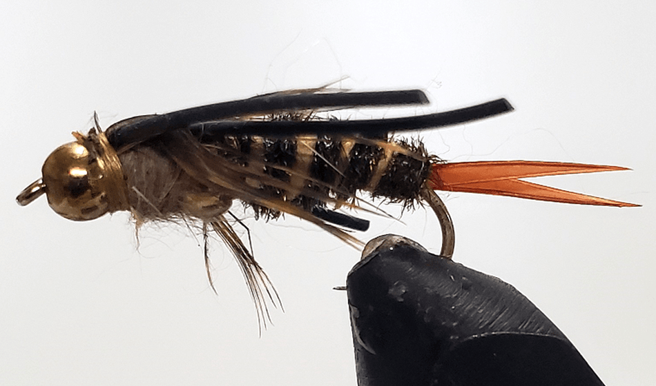 Double Bead - Stonefly Nymphs - Get Tight Gear