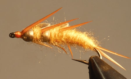 Double Bead - Stonefly Nymphs - Get Tight Gear