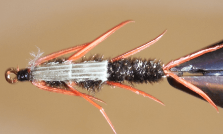 Double Bead - Stonefly Nymphs - Get Tight Gear