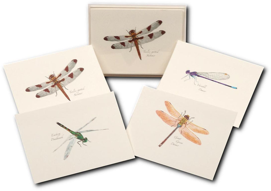 Dragonfly Notecards - Get Tight Gear