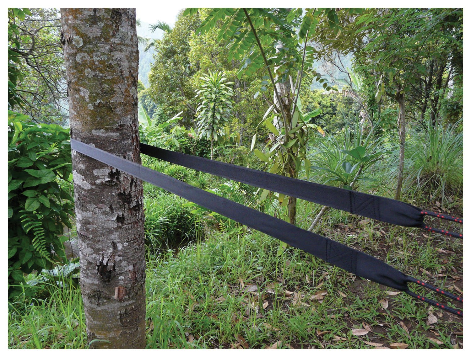 E X Tra Long Tree Straps - Get Tight Gear