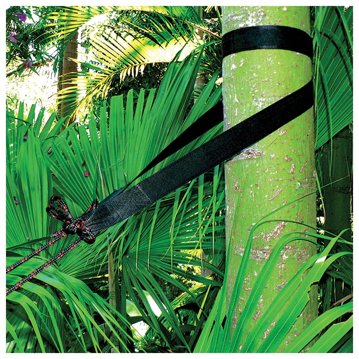 E X Tra Long Tree Straps - Get Tight Gear