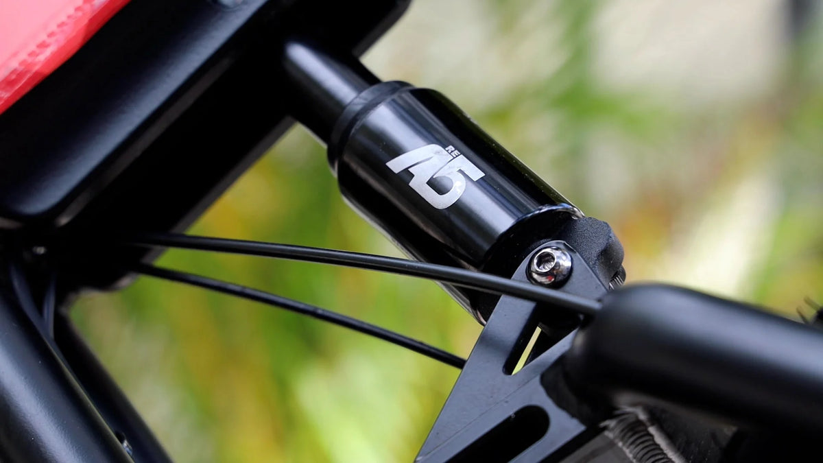 MB1 Genesis Fat Tire Moonbird Inspired Ebike