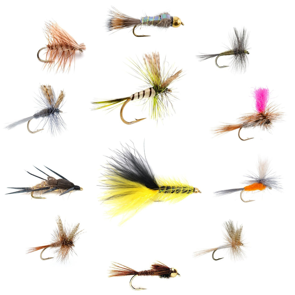 Eastern Trout Fly Assortment - 12 Essential Dry and Nymph Fly Fishing Flies Collection - Trout Flies with Gift Fly Box - Get Tight Gear