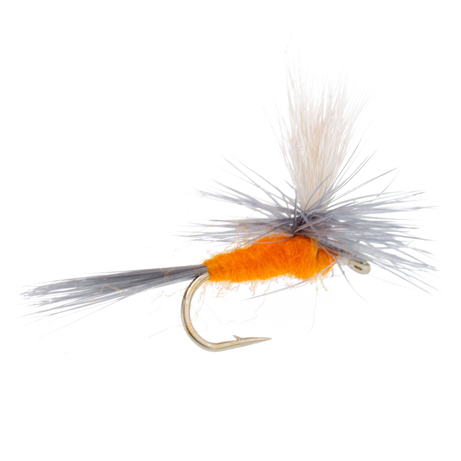 Eastern Trout Fly Assortment - 12 Essential Dry and Nymph Fly Fishing Flies Collection - Trout Flies with Gift Fly Box - Get Tight Gear