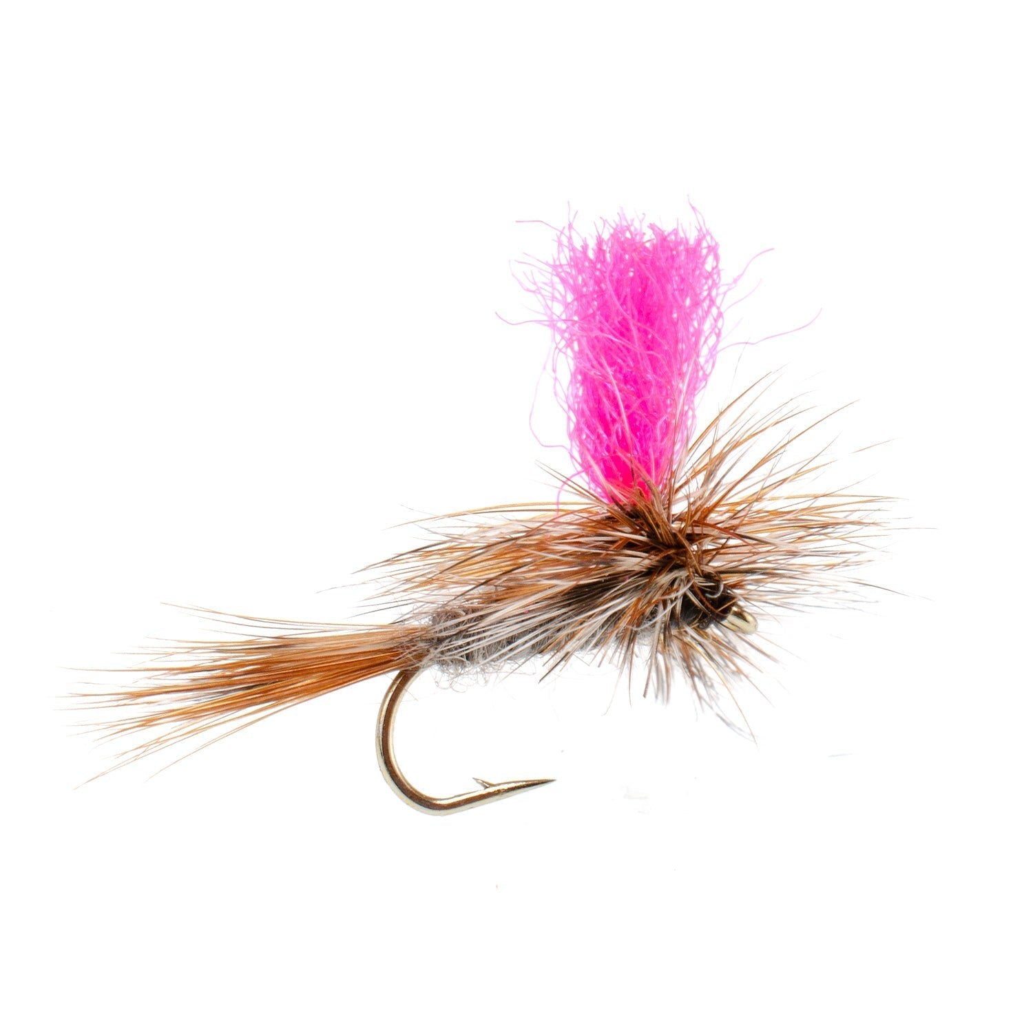 Eastern Trout Fly Assortment - 12 Essential Dry and Nymph Fly Fishing Flies Collection - Trout Flies with Gift Fly Box - Get Tight Gear