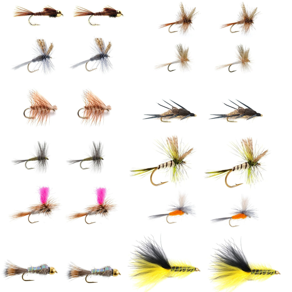 Eastern Trout Fly Assortment - 24 Essential Dry and Nymph Fly Fishing Flies Collection - Trout Flies with Gift Fly Box - Get Tight Gear