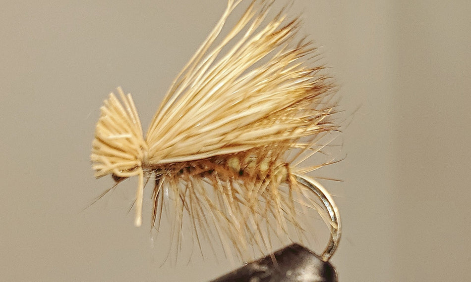 Elk Hair Caddis - 8 Colors! - Get Tight Gear