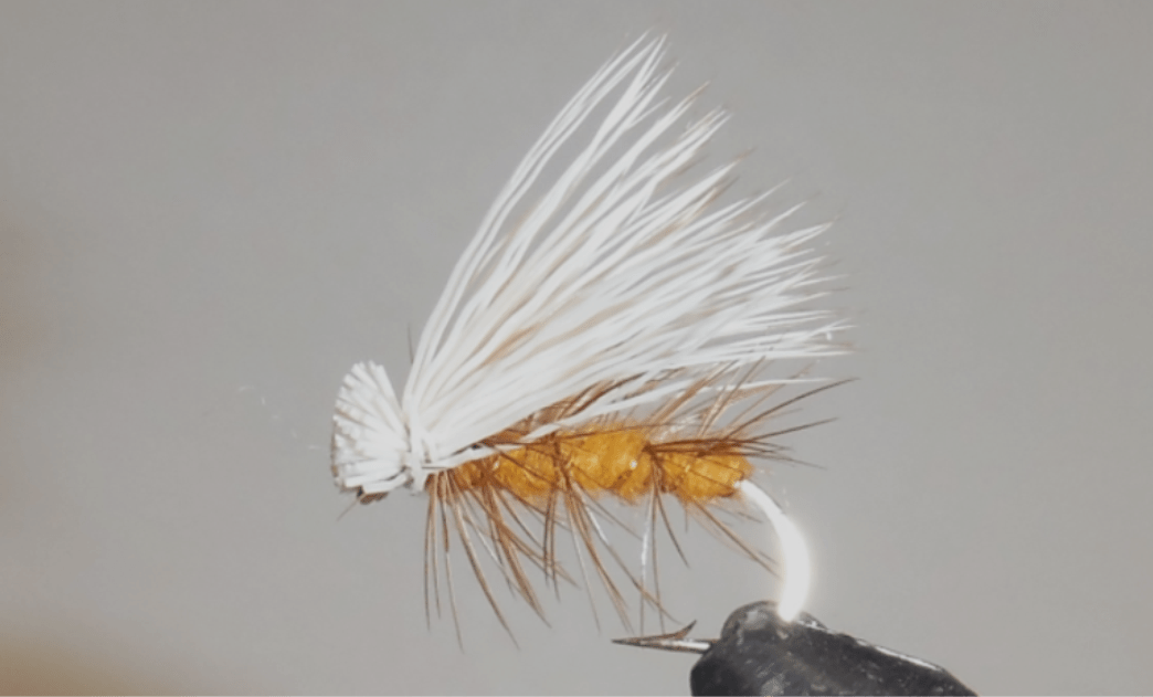 Elk Hair Caddis - 8 Colors! - Get Tight Gear