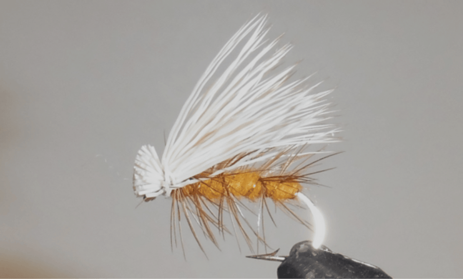Elk Hair Caddis - 8 Colors! - Get Tight Gear