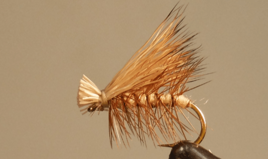 Elk Hair Caddis - 8 Colors! - Get Tight Gear