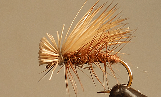 Elk Hair Caddis - 8 Colors! - Get Tight Gear