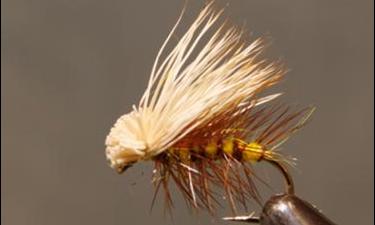 Elk Hair Caddis - 8 Colors! - Get Tight Gear