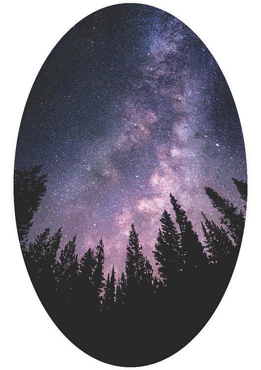 Feeling Small - Get Tight Gear