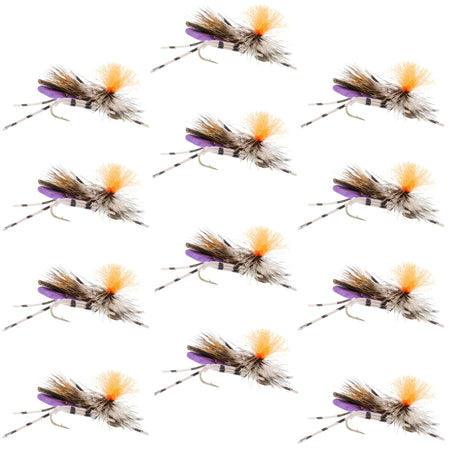 Feth Hopper Purple - Foam Grasshopper Fly Pattern - 1 Dozen Flies Hook Size 10 - Get Tight Gear