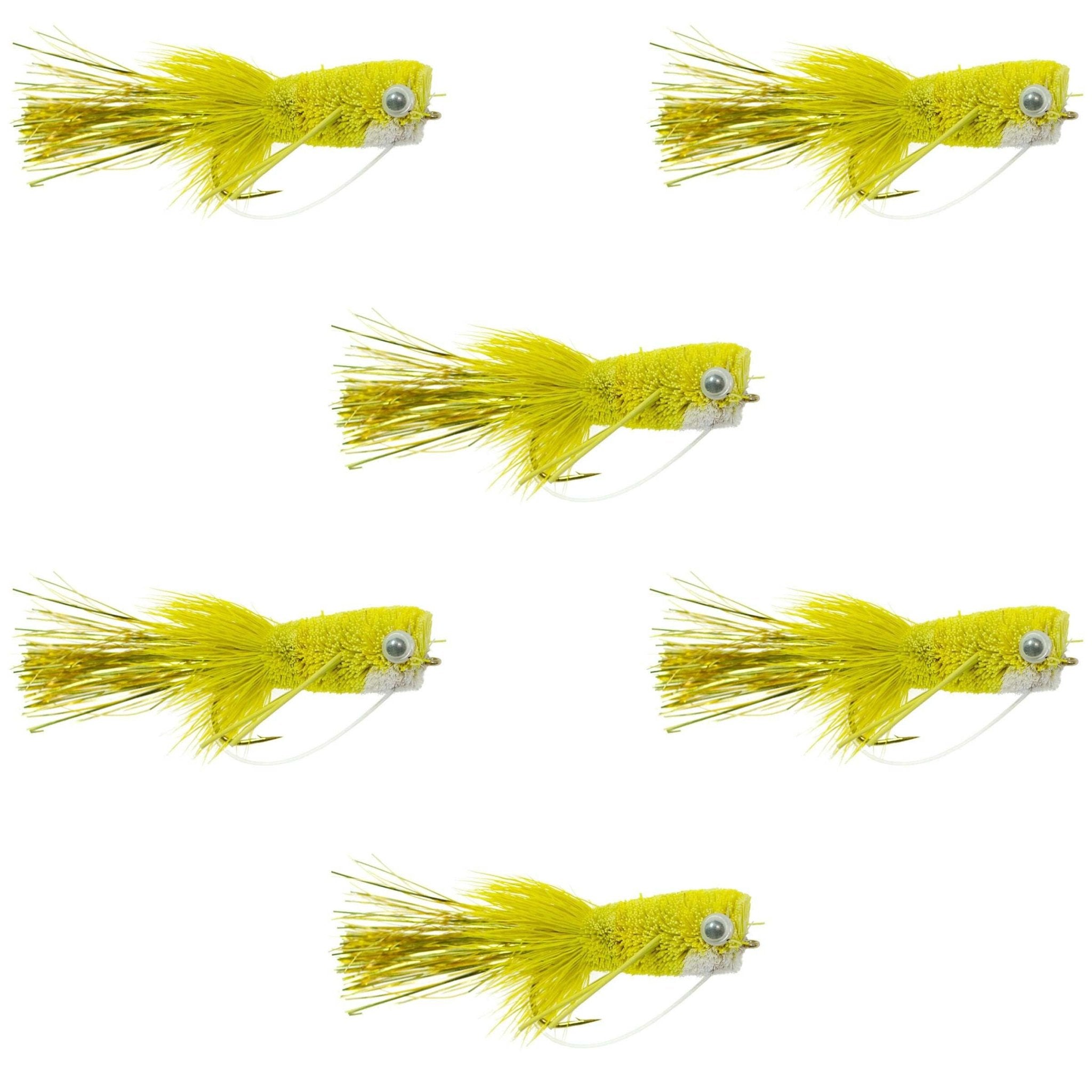 Flashtail Bass Popper 6 Flies Size 8 - Yellow Bass Fly Fishing Bug Wide Gape Bass Hooks With Weed Guard - Get Tight Gear