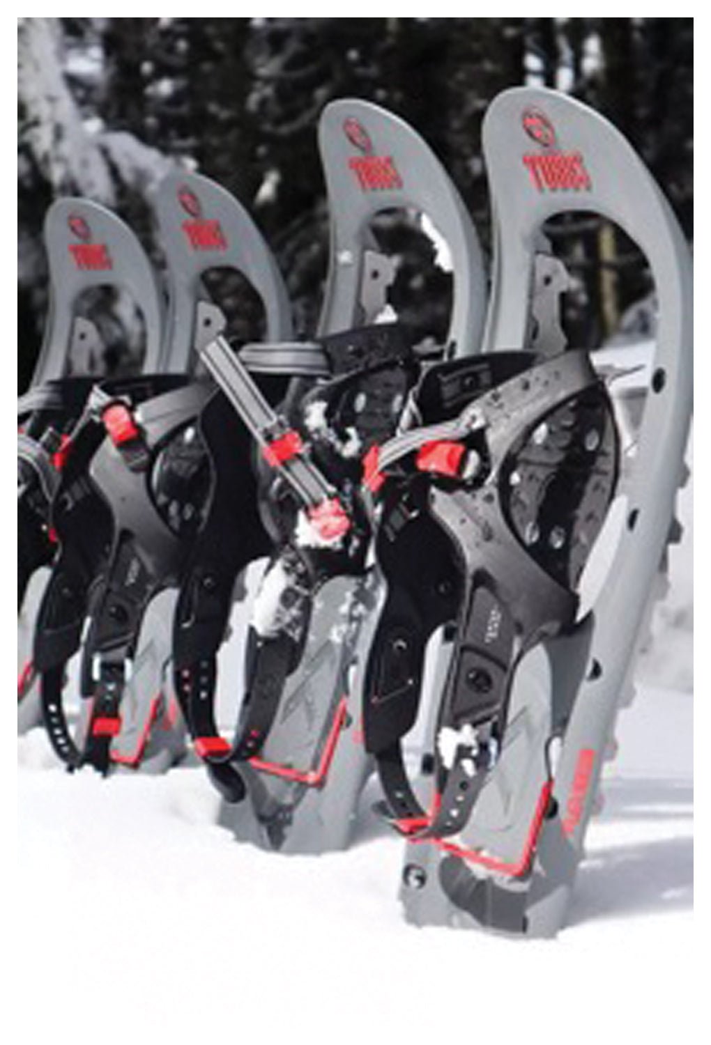 Fle X Trk 24 Snowshoe - Get Tight Gear