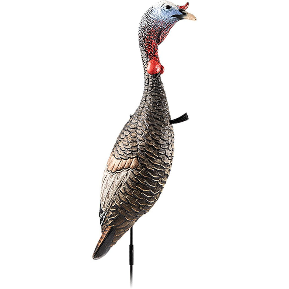 Flextone Funky Chicken Gen 2 Turkey Decoy - Get Tight Gear