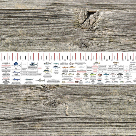 FLORIDA ATLANTIC STATE WATERS SALT WATER RULER 50 INCH FISH ID AND STATE REGULATIONS FISH RULER DECAL - Get Tight Gear