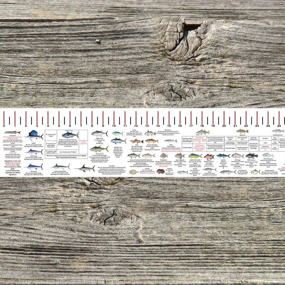 FLORIDA ATLANTIC STATE WATERS SALT WATER RULER 50 INCH FISH ID AND STATE REGULATIONS FISH RULER DECAL - Get Tight Gear