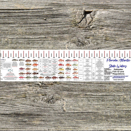 FLORIDA ATLANTIC STATE WATERS SALT WATER RULER 50 INCH FISH ID AND STATE REGULATIONS FISH RULER DECAL - Get Tight Gear