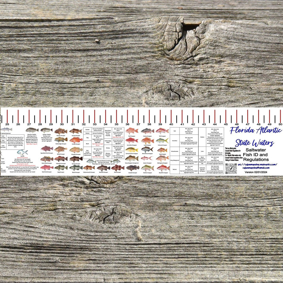 FLORIDA ATLANTIC STATE WATERS SALT WATER RULER 50 INCH FISH ID AND STATE REGULATIONS FISH RULER DECAL - Get Tight Gear