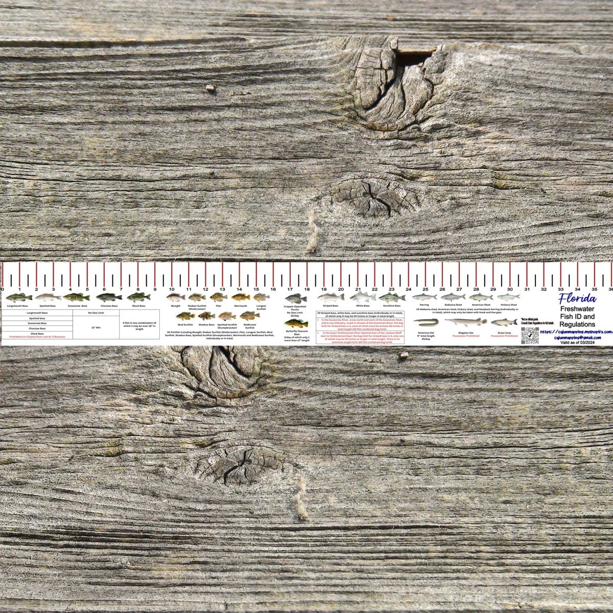 FLORIDA FRESH WATER 36 INCH FISH ID AND STATE REGULATIONS FISH RULER DECAL - Get Tight Gear