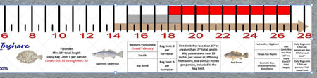 Florida Gulf Coast Inshore Fishing Slot Ruler Decal - Get Tight Gear