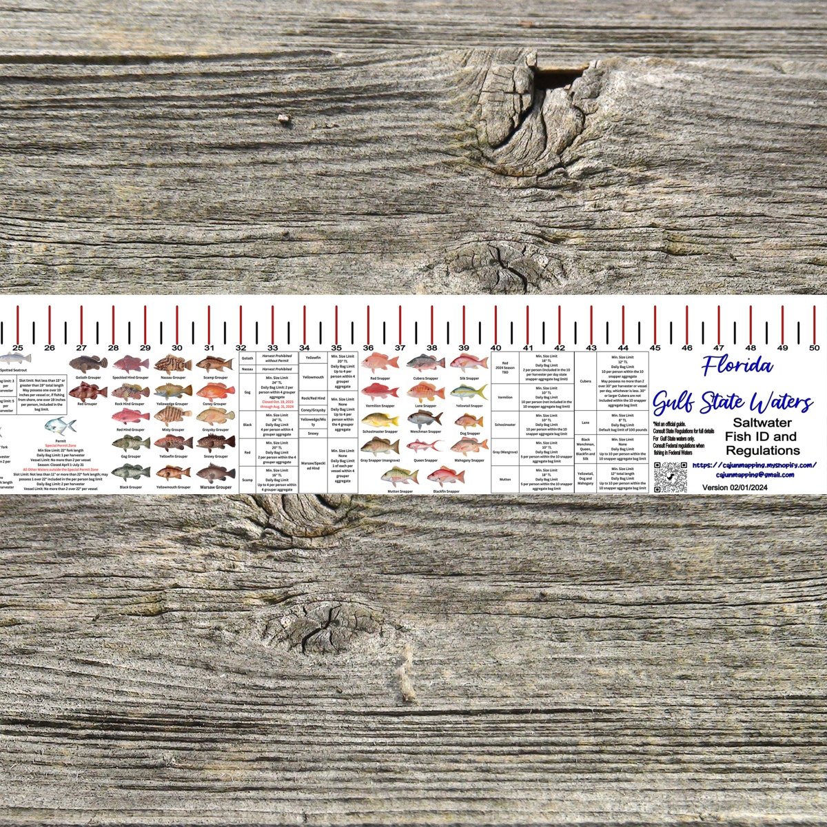 FLORIDA GULF STATE WATERS SALT WATER RULER 50 INCH FISH ID AND STATE REGULATIONS FISH RULER DECAL - Get Tight Gear