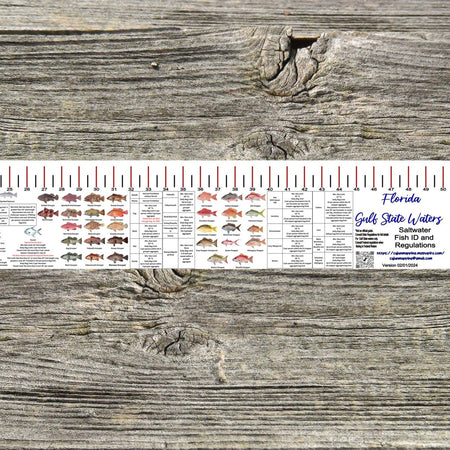 FLORIDA GULF STATE WATERS SALT WATER RULER 50 INCH FISH ID AND STATE REGULATIONS FISH RULER DECAL - Get Tight Gear
