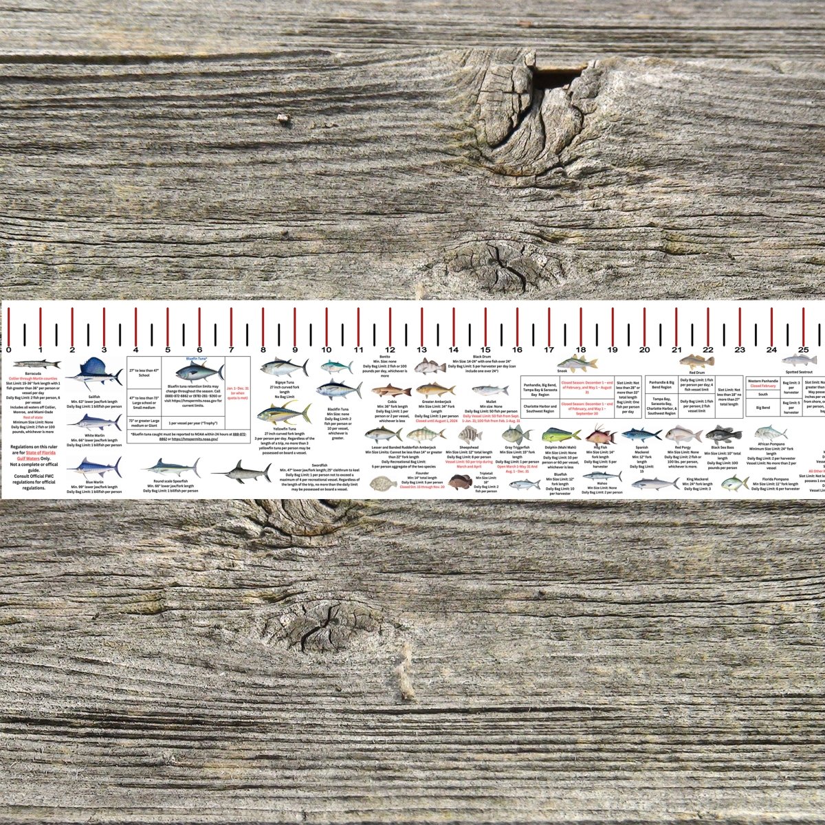 FLORIDA GULF STATE WATERS SALT WATER RULER 50 INCH FISH ID AND STATE REGULATIONS FISH RULER DECAL - Get Tight Gear
