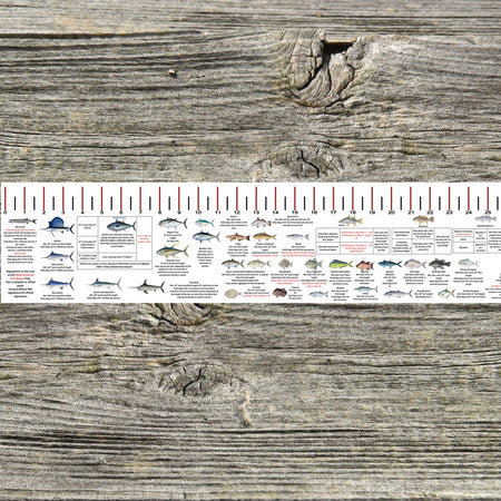 FLORIDA GULF STATE WATERS SALT WATER RULER 50 INCH FISH ID AND STATE REGULATIONS FISH RULER DECAL - Get Tight Gear