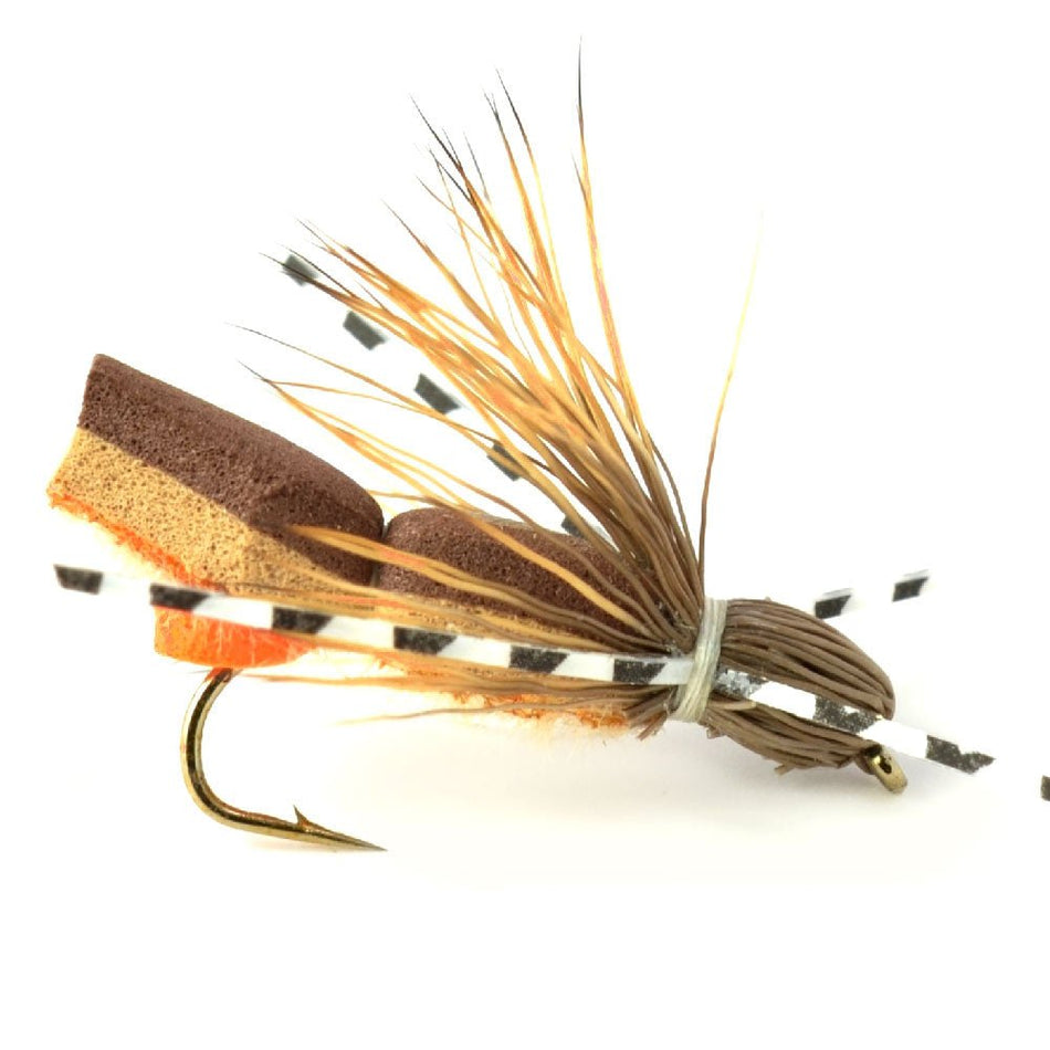 Foam Hopper Fly Fishing Flies Assortment - 12 Flies - 2 Each of 6 Grasshopper Dropper Hopper with Fly Box - Get Tight Gear