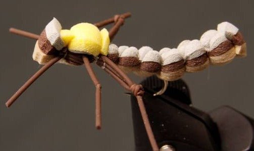 Foam Mantis - Get Tight Gear