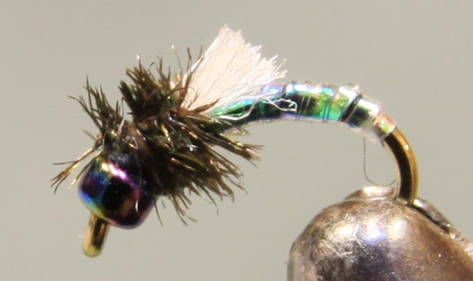 Garish Flash Midges - Get Tight Gear