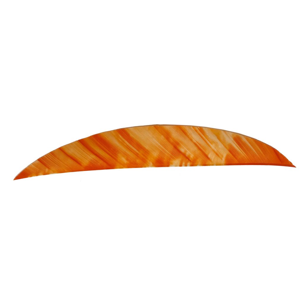 Gateway Magnum Feathers Tre White/Orange 5.5 in. RW 50 pk. - Get Tight Gear