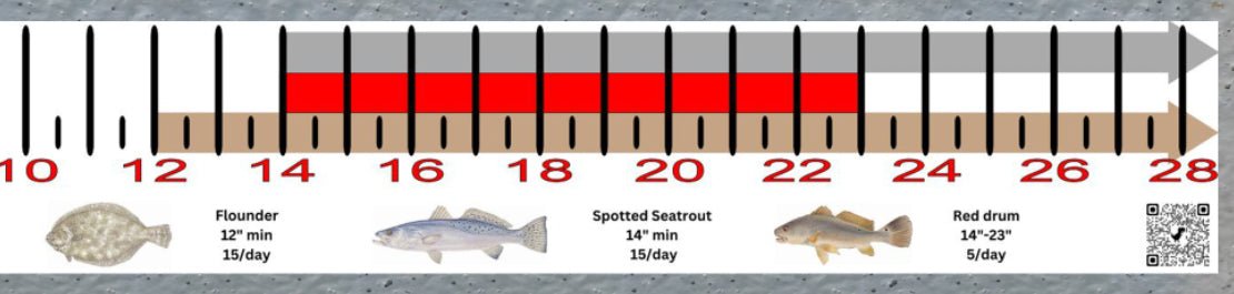 Georgia Inshore Fishing Slot Ruler Decal - Get Tight Gear