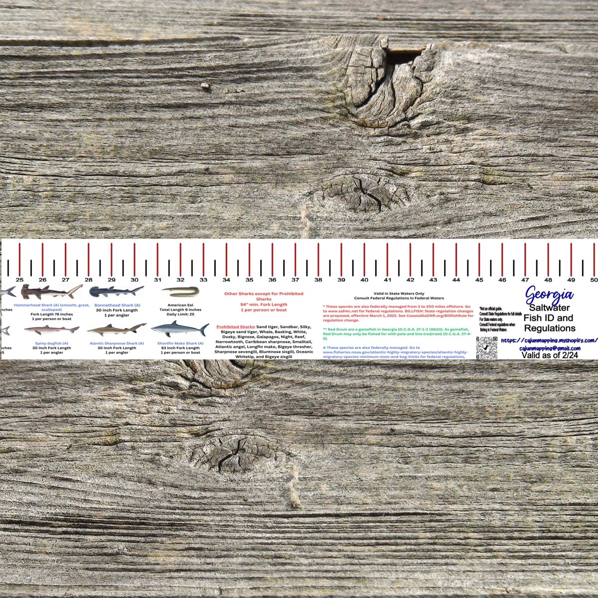 GEORGIA SALT WATER RULER 50 INCH FISH ID AND STATE REGULATIONS FISH RULER DECAL - Get Tight Gear