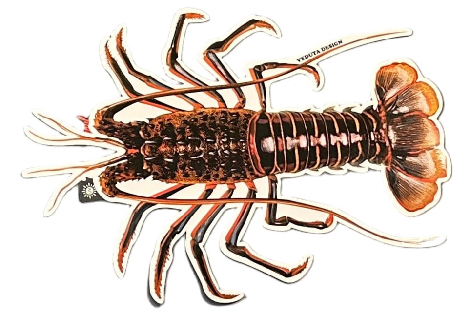 Get Tight Gear UV Vinyl Sticker — Assorted Designs (Large) - Get Tight Gear